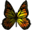 Pandora Butterfly.png