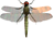 Pandora Dragonfly.png