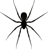 Pandora Spider.png