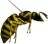 Pandora Wasp.png